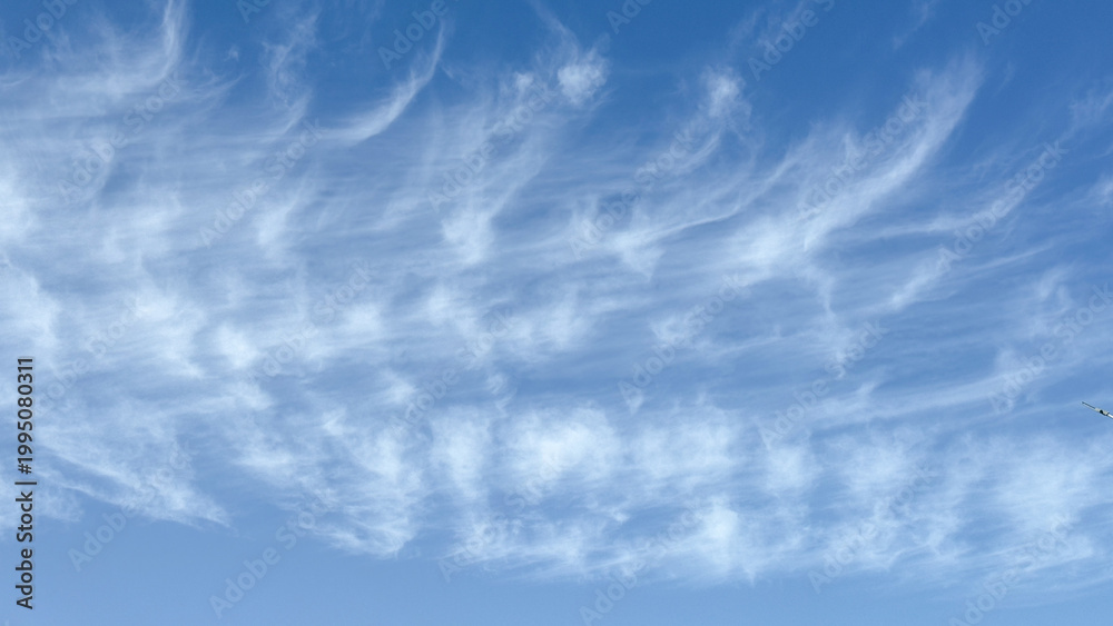 Fototapeta premium Delicate white cirrus clouds sweep across a bright blue daytime sky. Peaceful nature view, tranquil atmosphere, meteorological scenery.