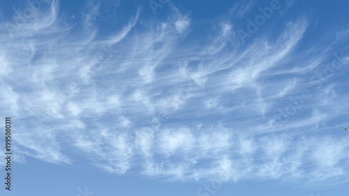 Delicate white cirrus clouds sweep across a bright blue daytime sky. Peaceful nature view, tranquil atmosphere, meteorological scenery.
