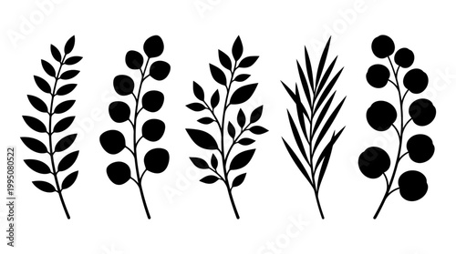 Botanical Silhouettes Vector Illustration with Plants, Branches, Leaves, Berries, Decorative Nature Artwork, Black and White Floral Design, Elegant Botanical Vector Art