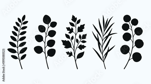 Botanical Silhouettes Vector Illustration with Plants, Branches, Leaves, Berries, Decorative Nature Artwork, Black and White Floral Design, Elegant Botanical Vector Art