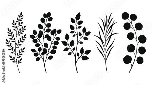 Botanical Silhouettes Vector Illustration with Plants, Branches, Leaves, Berries, Decorative Nature Artwork, Black and White Floral Design, Elegant Botanical Vector Art