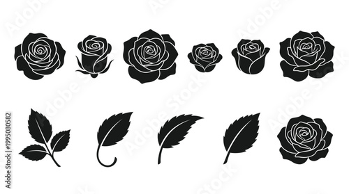 Rose and Leaf Vector Illustration with Floral Silhouettes, Bud to Bloom Stages, Botanical Artwork, Nature Foliage, Elegant Flower Design, Decorative Garden Vector Art