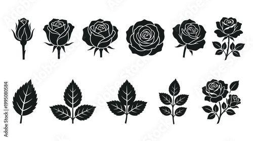 Rose and Leaf Vector Illustration with Floral Silhouettes, Bud to Bloom Stages, Botanical Artwork, Nature Foliage, Elegant Flower Design, Decorative Garden Vector Art