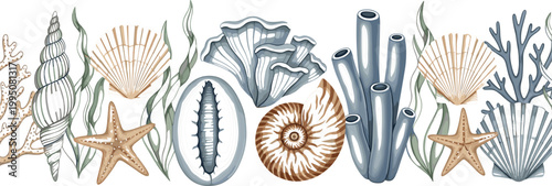Marine Life Border Vector Featuring Seashells Starfish Coral Reef And Seaweed Elements For Nautical Summer Beach Party Invitation Designs