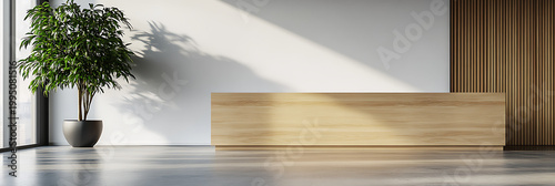 Wooden reception counter in modern minimalist office interior with green plant and sunlight streaming across white wall creating dramatic shadows for professional business lobby
