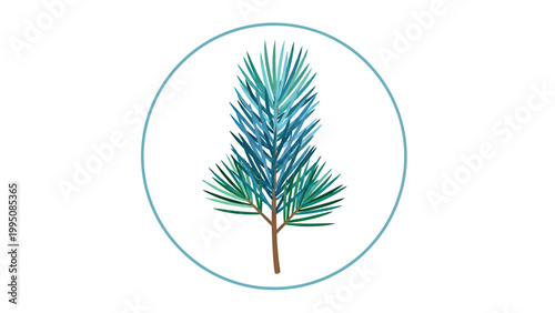 Teal-outlined circle frames a watercolor pine sprig with green and blue needles
