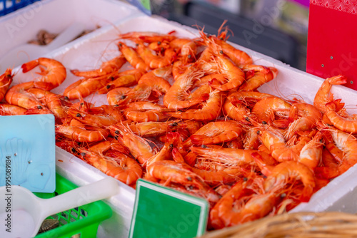 The king prawns on a display in a market
