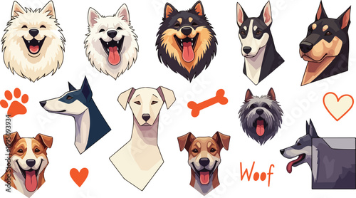 A cute group of domestic pets including small chihuahua dogs and a kitten sitting together in a studio portrait isolated on a white background