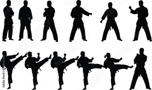 Martial arts silhouettes, karate fighter vector, high kick artwork, punching pose illustration, combat training design, black and white sports figures