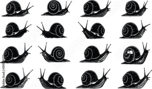 Snail silhouette collection, spiral shell vector, crawling snail artwork, stylized snail illustration, black and white animal design, nature icon graphics