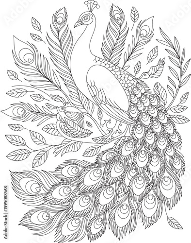 Detailed line art illustration of a peacock and a small bird with numerous decorative feathers and leaves