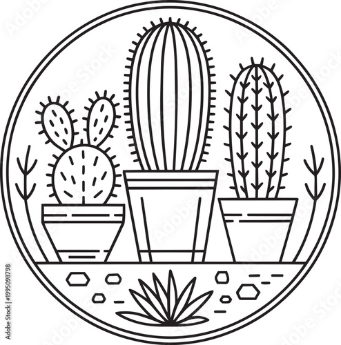 Potted cacti in set of 3 a circular line art illustration with home decor interior design and arid climate