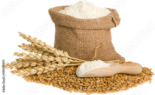 Photography Collection of Wheat flour sack with an ear of wheat isolated on a transparent ba