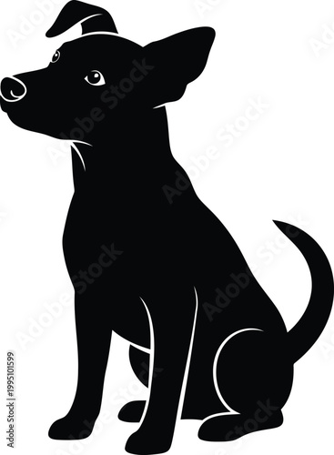 Black silhouette of a cat wearing a witch hat black cat halloween spooky