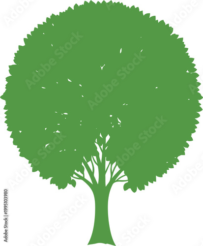 Green tree silhouette with detailed leaves against white background, nature