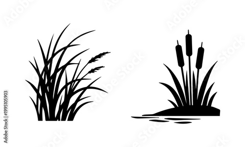 Vector illustration of grass