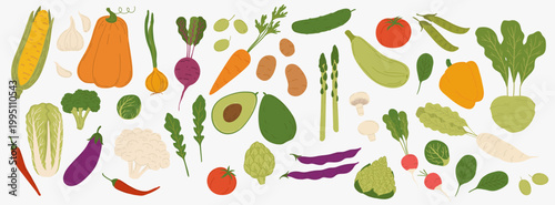 Ripe raw vegetables, vector food, veggies and greens. Flat cartoon carrot, potato, onion and cabbage, raw tomato and cucumber, broccoli and radish, pumpkin, spinach and arugula leafy vegetables