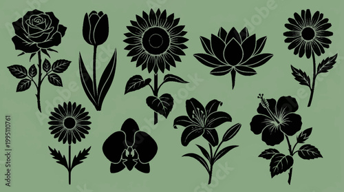 A collection of black silhouette illustrations of various popular flowers against a muted green background.