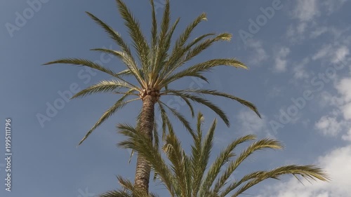 elX alicante españa