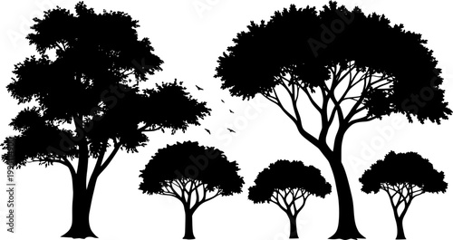 Summer trees silhouettes - Vector stock