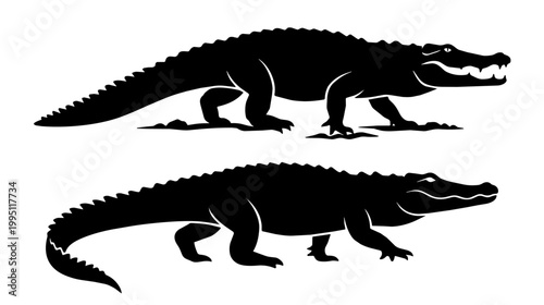 Crocodile silhouette walks on white studio background. Two side profiles stack and show motion and contrast.