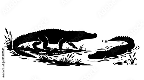 Alligator crawling toward water at a marsh edge. A second alligator lies submerged amid reeds at dawn.