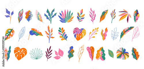 Tropical colorful jungle leaves collection. Exotic summer illustrations and graphic elements set.