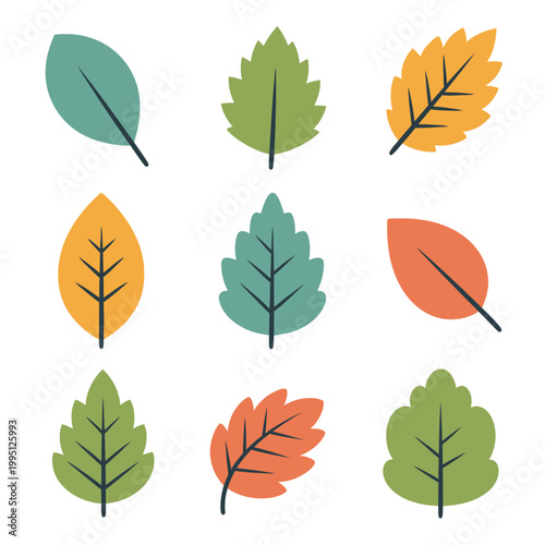 Autumn Leaves Vector Set: Colorful Fall Foliage Icons