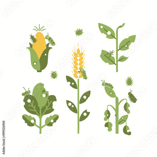Pest Infestation on Crops: Corn, Wheat, Leafy Greens, and Stalks
