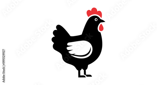 Black Hen Poultry Farm Animal.
