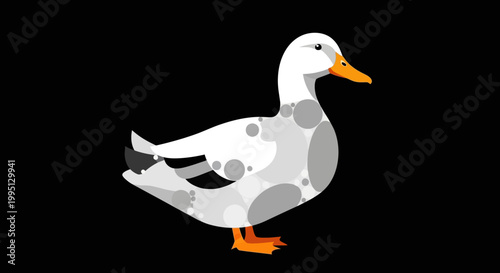 White Duck With Orange Beak Standing.
