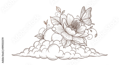 Butterfly on a large flower.