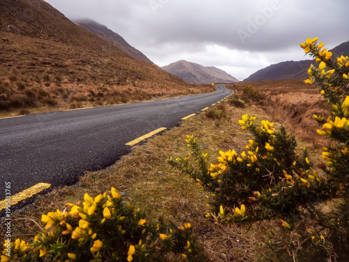 Obraz na plátně Narrow asphalt road with spectacular view on a mountains and rough nature scenery in Connemara, Ireland