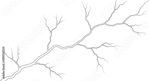 Detailed Bare Tree Branches with Intricate Line Art Structure on an Isolated White Background
