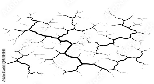 Extensive Network of Surface Cracks Forming an Abstract Pattern on an Isolated White Background