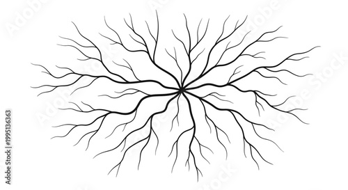 Radial Black and White Branching Root or Nerve System Pattern on an Isolated White Background
