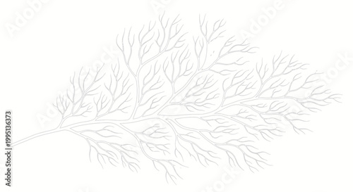 Delicate Abstract Branching Pattern Resembling Tree Branches or Capillaries on an Isolated White Background