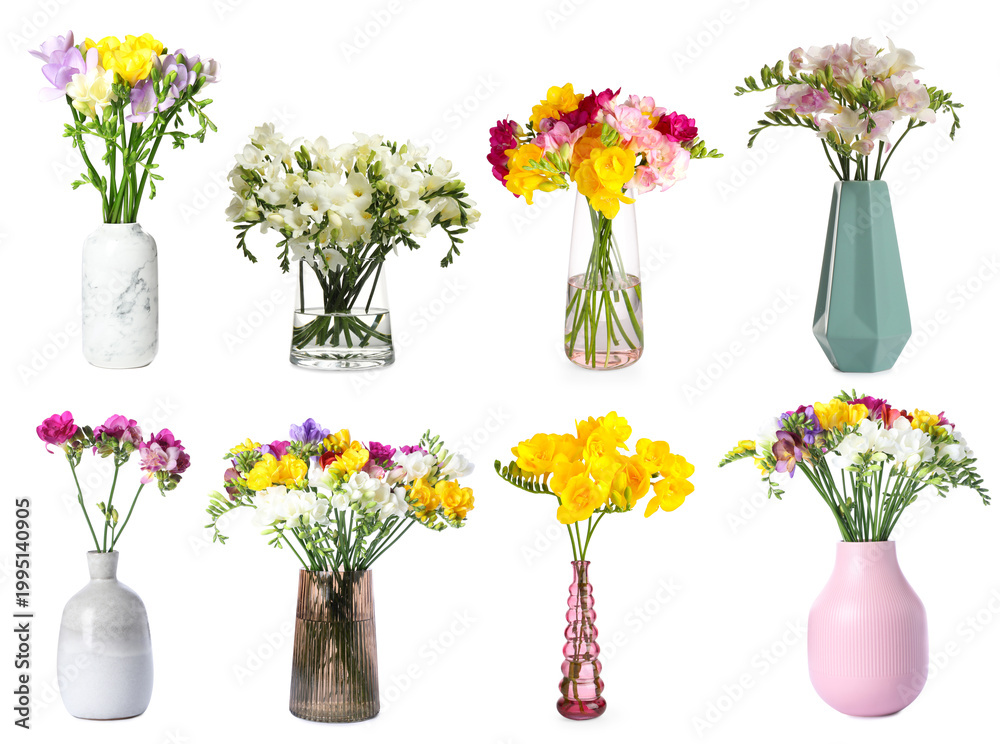 Obraz premium Bright freesia flowers in vases isolated on white, set