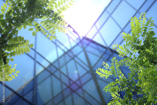 Photos Office building and green leaves on sunny day, selective focus
