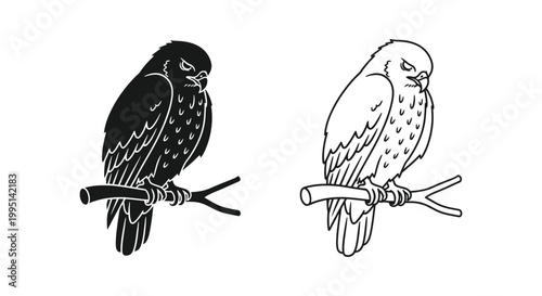 Black and White Bird Silhouettes Design Vector