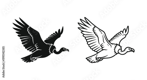 GracefulFlightBlackWhiteBirdsSilhouettesArt Vector