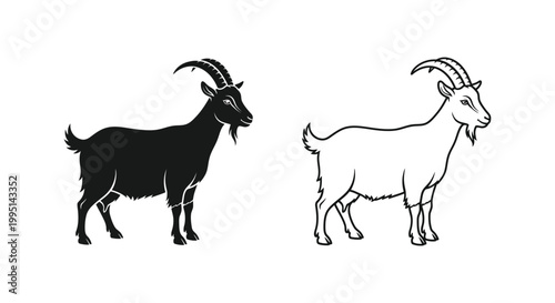 Goat vs Goat Breeds: Differences Between Two Common Goats Vector