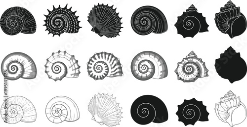 Seashell and Snail Shell Icon Set Featuring Diverse Marine Mollusk Shapes in Detailed Woodcut Silhouette Grayscale and Line Art Styles for Beach and Ocean Nature Designs