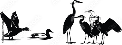 Wetland Bird Silhouette Set Featuring Flying Mallard Ducks and a Group of Elegant Herons for Nature Wildlife Lake and Conservation Illustration Designs
