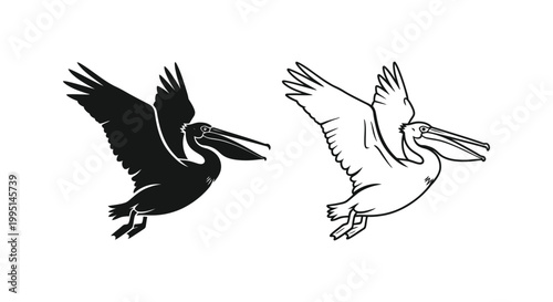Black White Pelican Bird Graphic Design Vector Art Vector