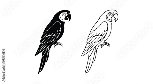 Vibrant Parrot Illustrations: Unique Bird Art Designs Vector