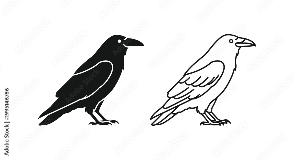 Fototapeta premium Black and White Crow Raven Birds Silhouette Design Vector