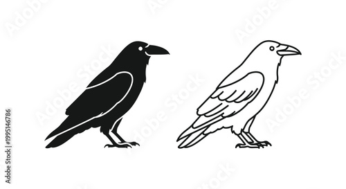 Black and White Crow Raven Birds Silhouette Design Vector