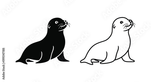 Cute Seal Illustrations for Design Projects Vector