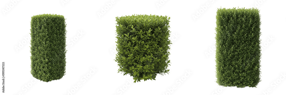 Naklejka premium Set of Long Rectangular Garden Hedge Isolated on White Background, PNG